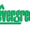 Evergreen 4050Strukturplatte, 1x150x300 mm.Raster 1,30 mm, 1 Stück