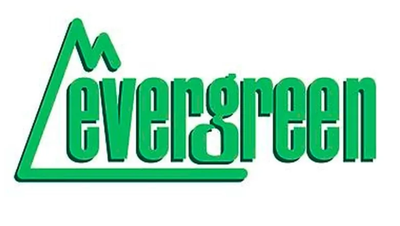 Evergreen 4050Strukturplatte, 1x150x300 mm.Raster 1,30 mm, 1 Stück