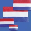 Krick 63463Flagge Niederlande 55x83 mm (1)