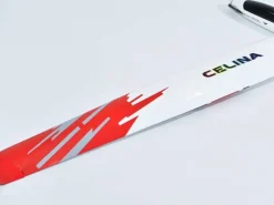 Phoenix Model GL12Phoenix Celina Elektrosegler ARF - 272 cm