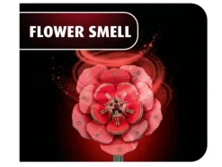 Revell 00631'Dream of Roses' Holzblumen Bausatz