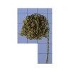 romarin by Krick ro1309Ankerkette Messing Typ F50 1m
